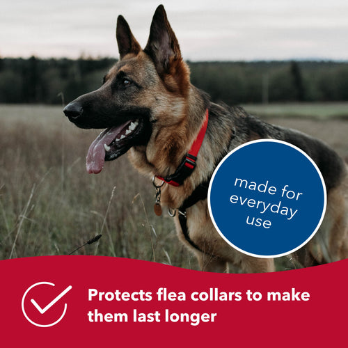 Dog Collar | Protective Flea Collar Cover