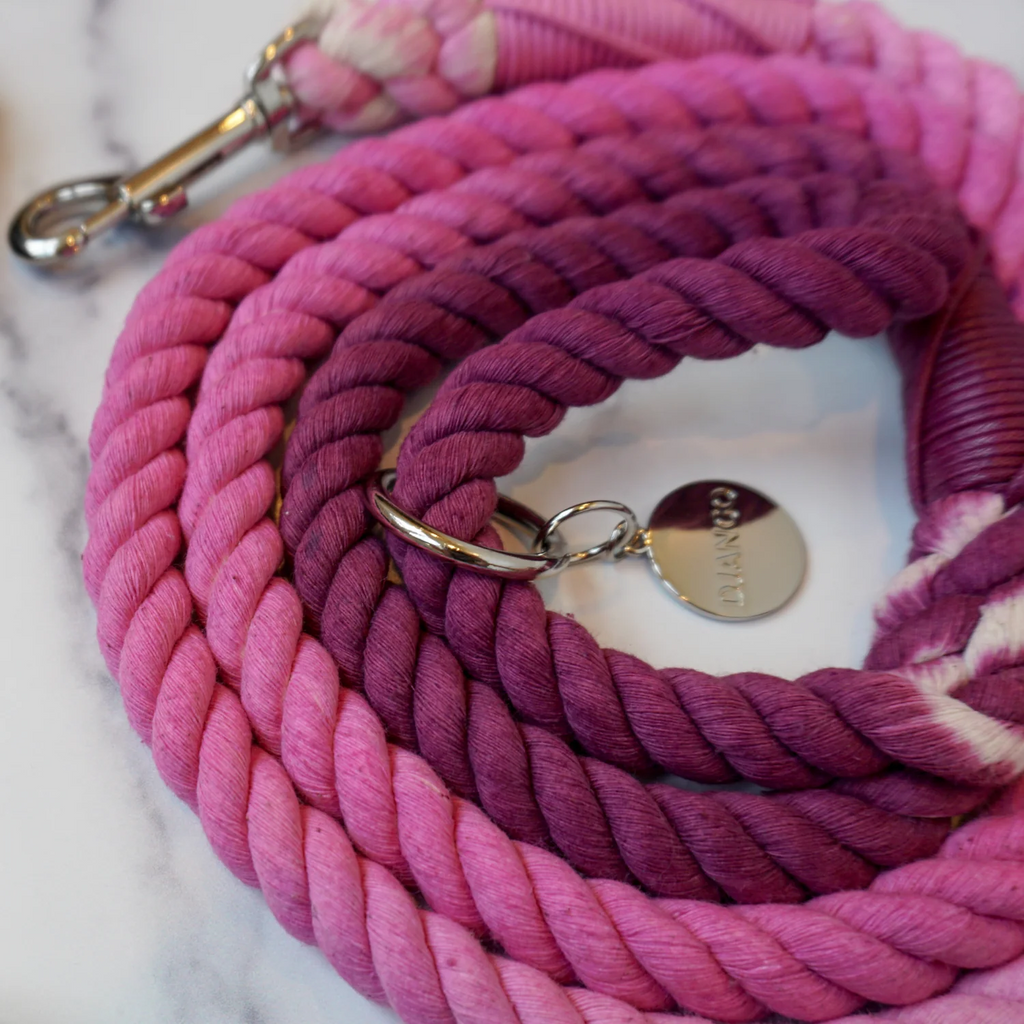 Dog Leash | Soft Braided Cotton Rope Design