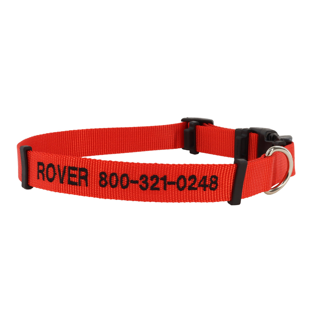 Dog Collar | Protective Flea Collar Cover