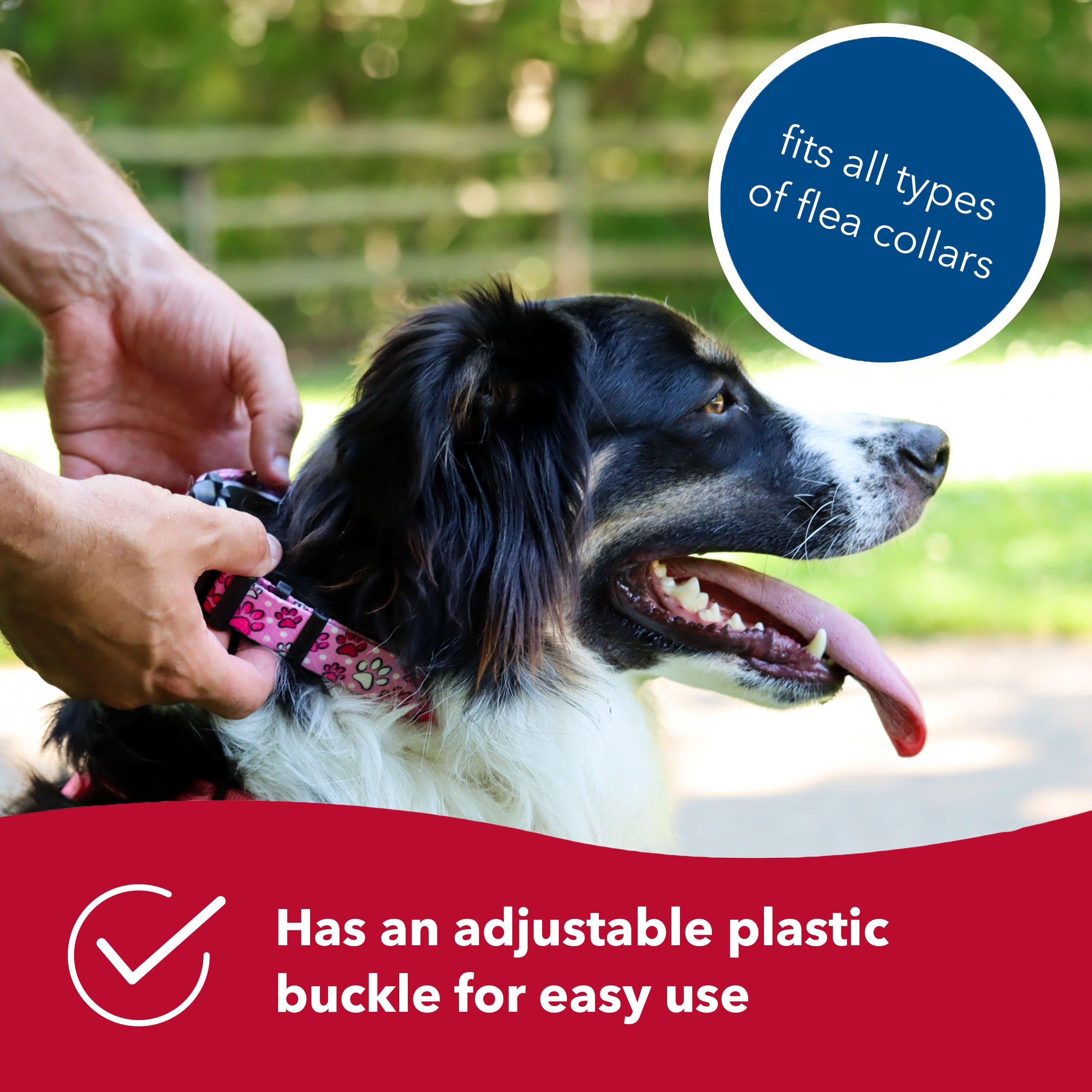 Dog Collar | Protective Flea Collar Cover