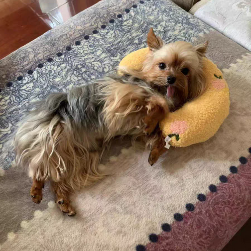 Dog Pillow | Plush Calming Neck Res