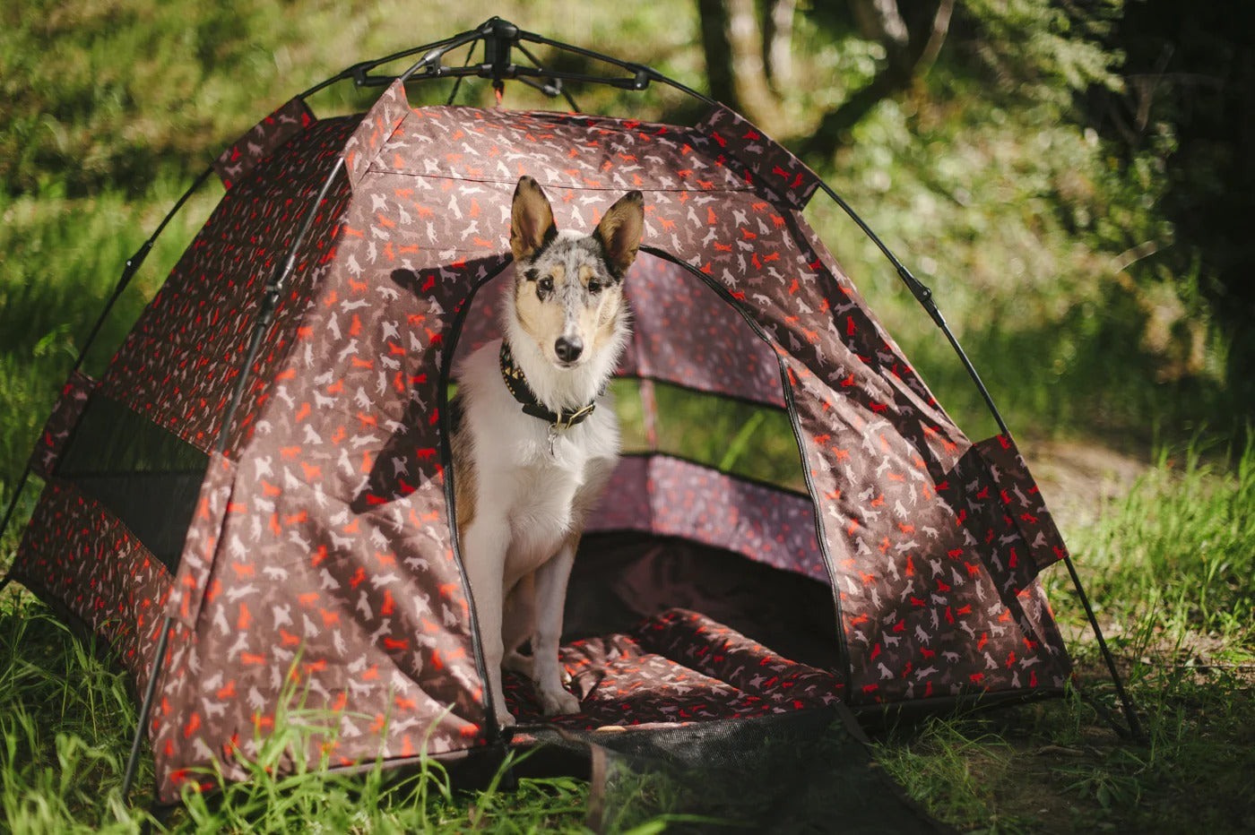 Dog Tent | Portable Outdoor Pet Shelter