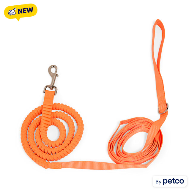 Dog Leash | Reflective Bungee Training Leash
