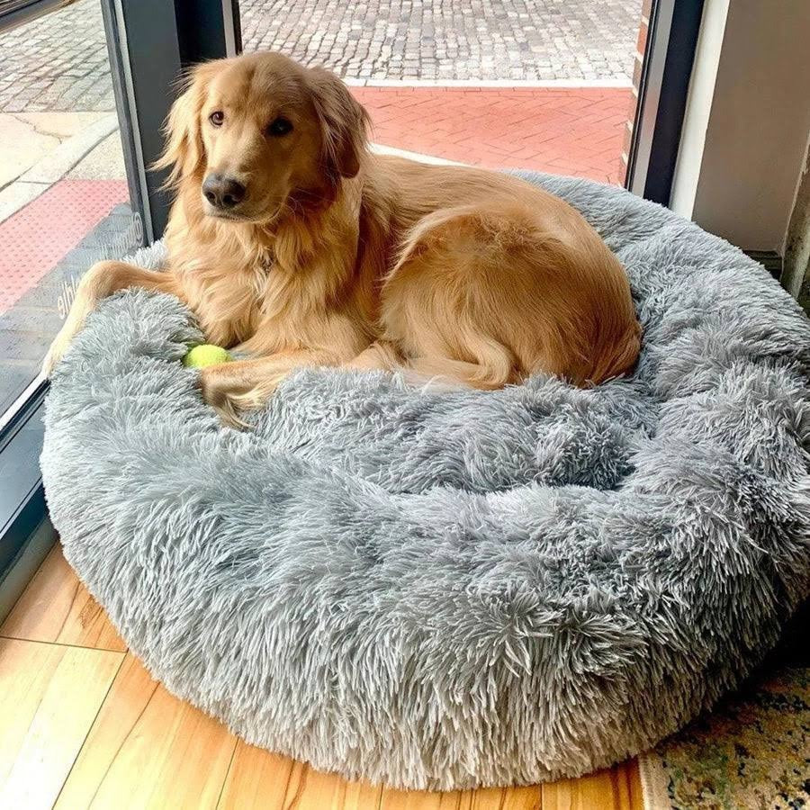 Dog Bed | Plush Calming Support Bed