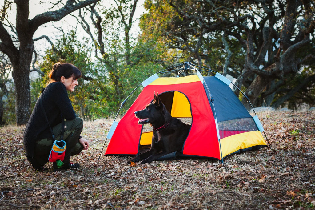 Dog Tent | Portable Outdoor Pet Shelter