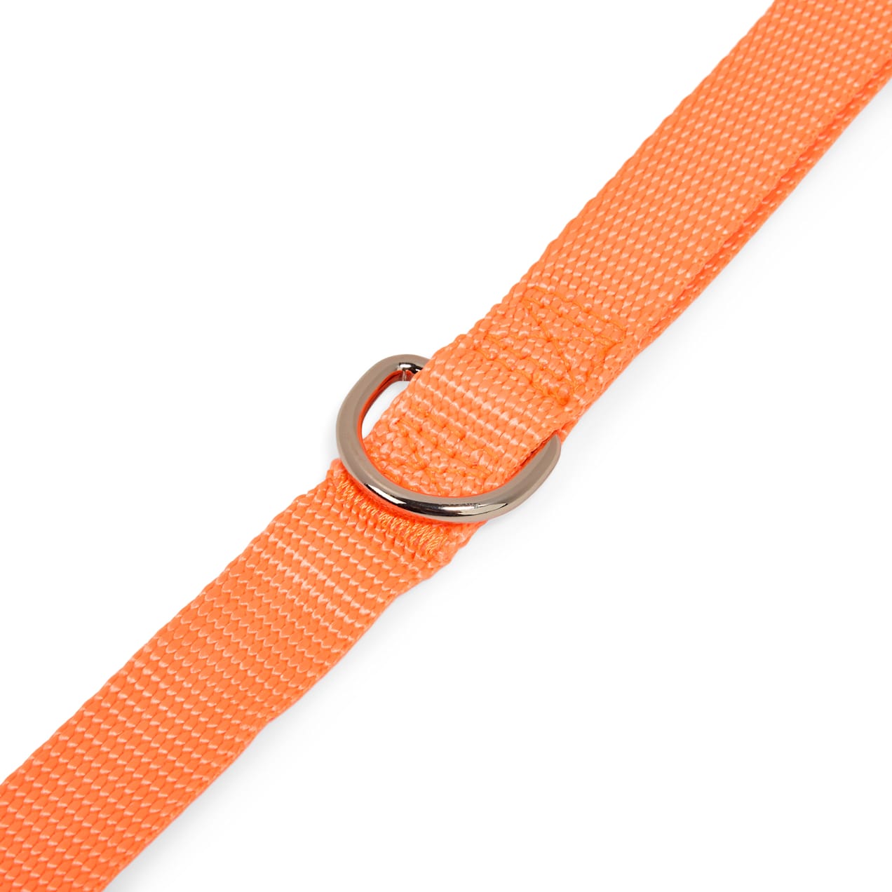 Dog Leash | Reflective Bungee Training Leash