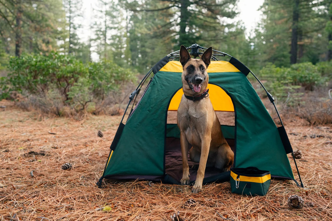 Dog Tent | Portable Outdoor Pet Shelter