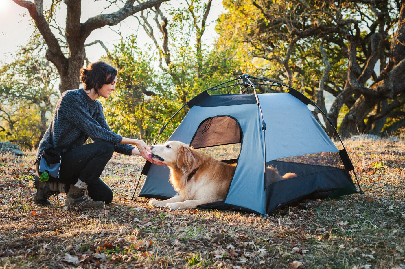 Dog Tent | Portable Outdoor Pet Shelter