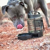 Dog Water Bottle | Large Capacity Travel Bowl Dispenser