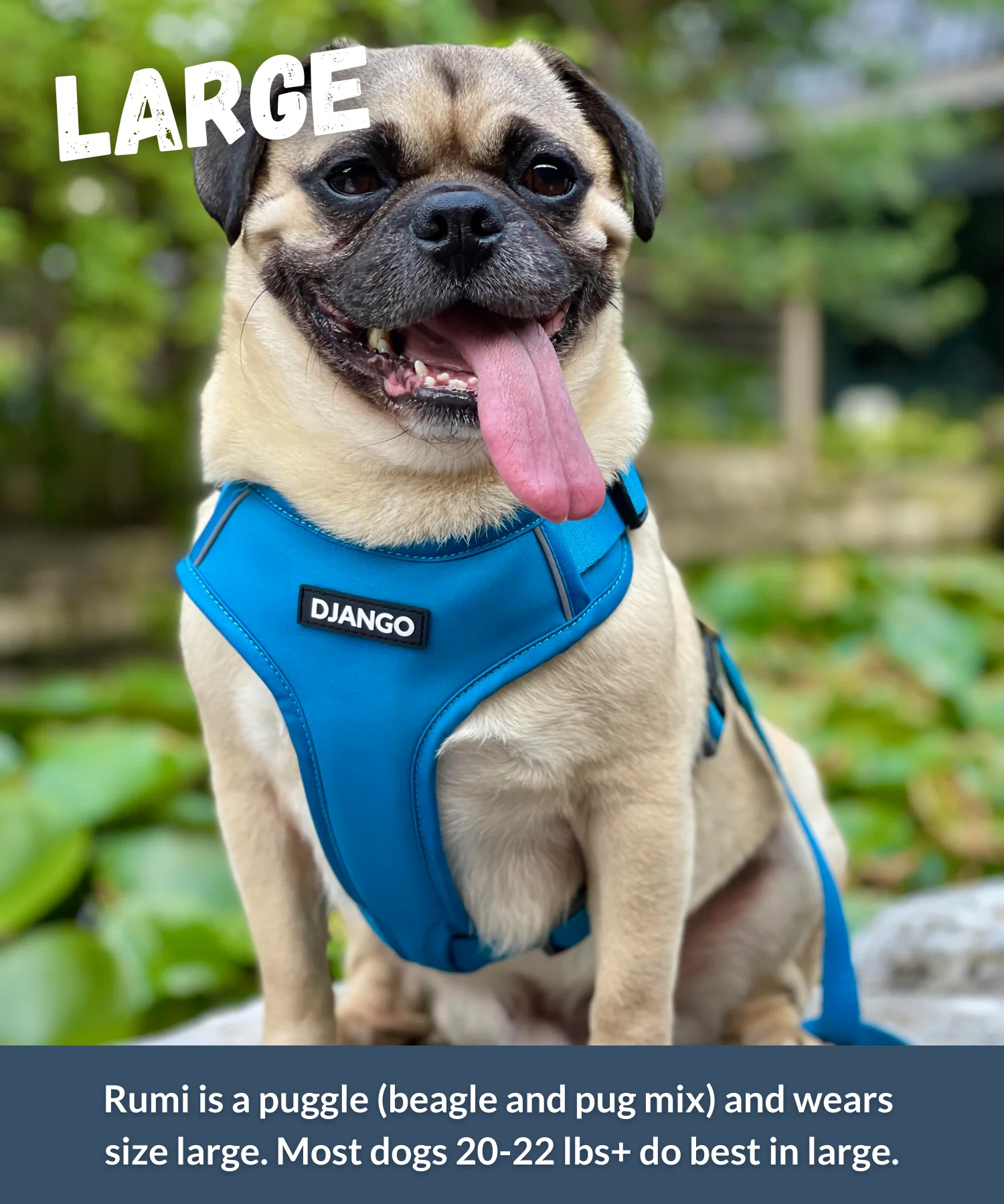 Dog Harness | Adventure Ready Comfort Fit