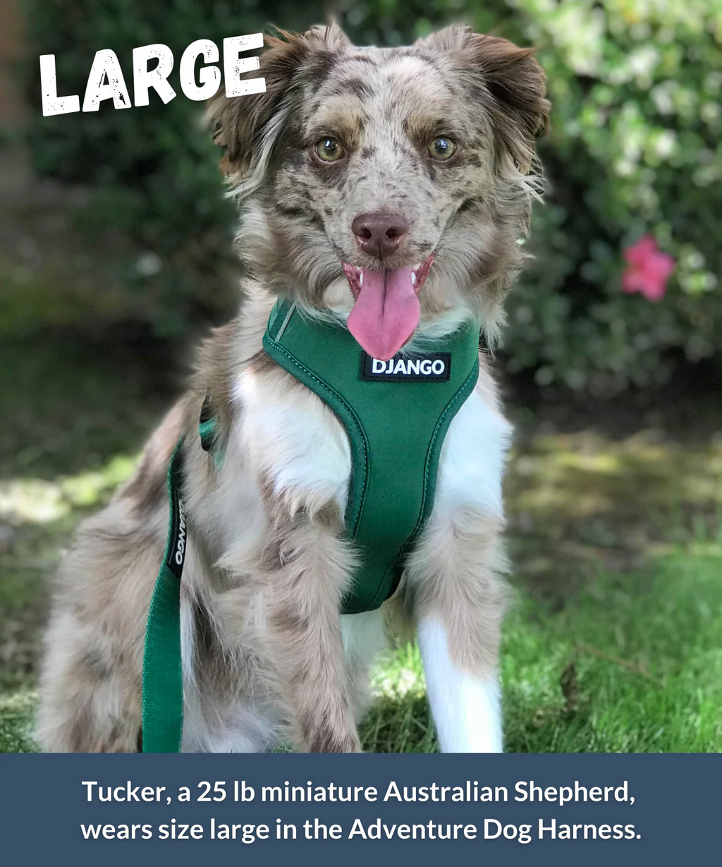 Dog Harness | Adventure Ready Comfort Fit