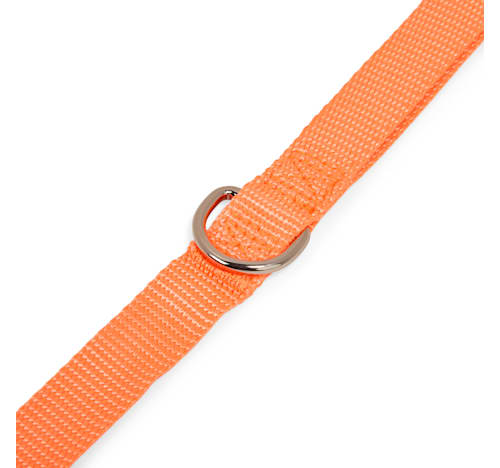 Dog Leash | Reflective Bungee Training Leash