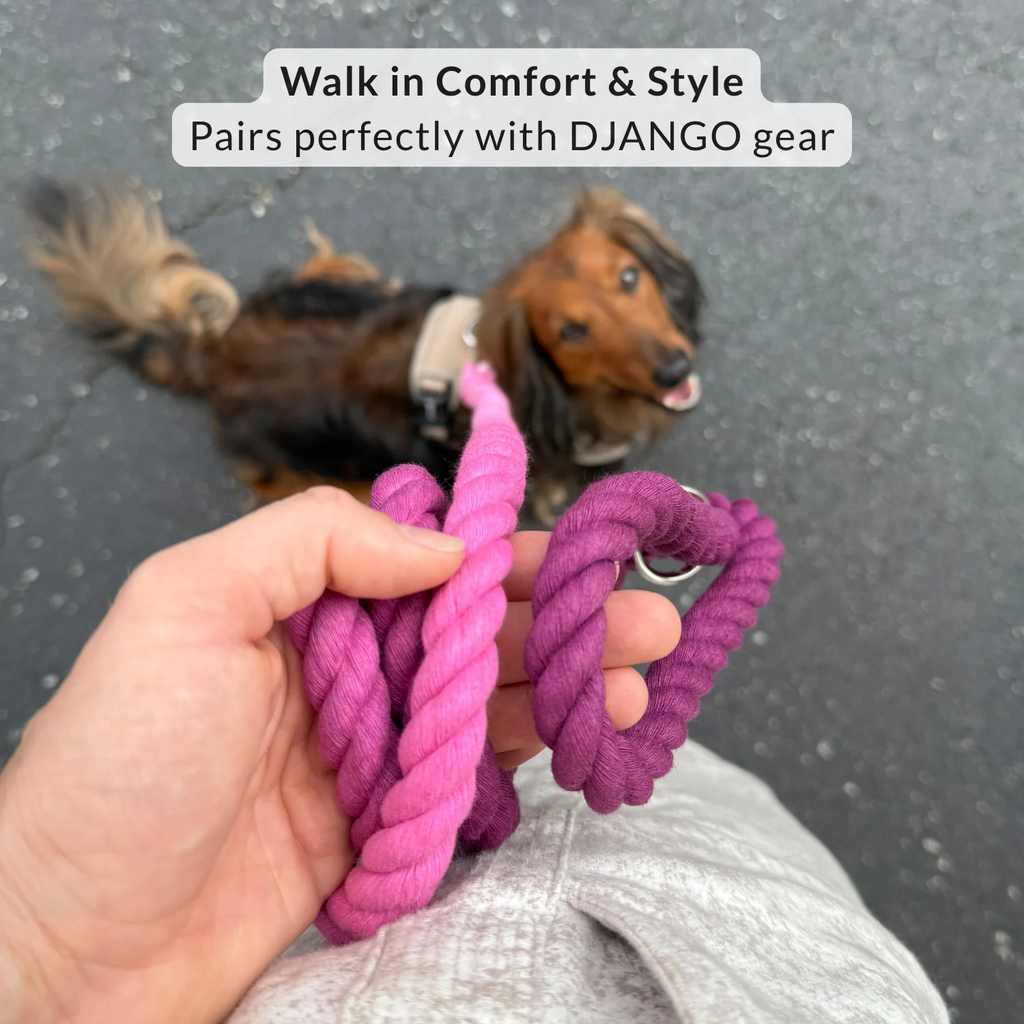 Dog Leash | Soft Braided Cotton Rope Design