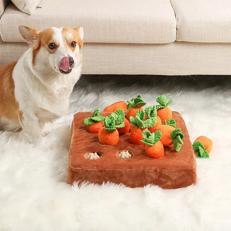 Snuffle Toy | Interactive Carrot Puzzle Mat