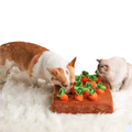 Snuffle Toy | Interactive Carrot Puzzle Mat