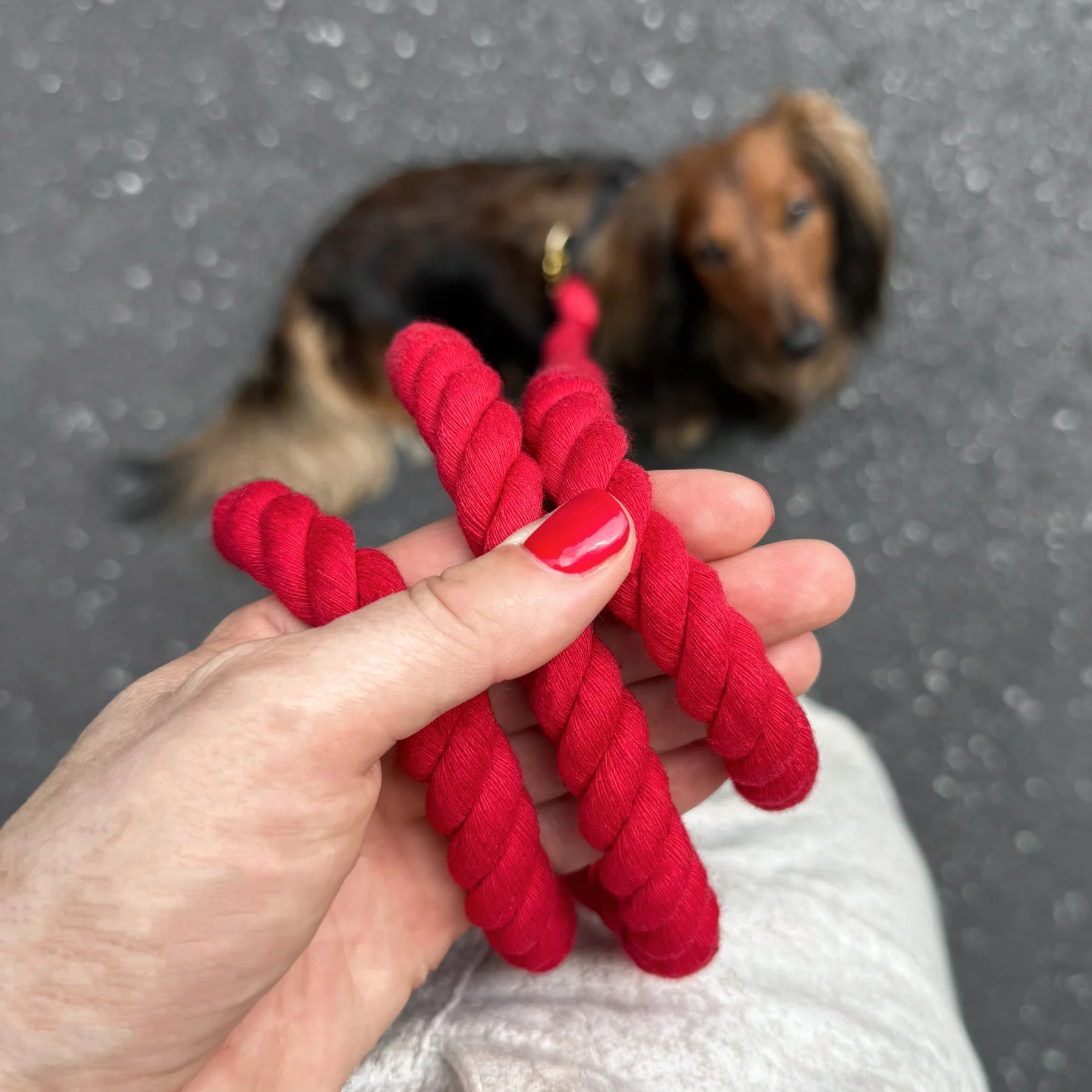 Dog Leash | Soft Braided Cotton Rope Design