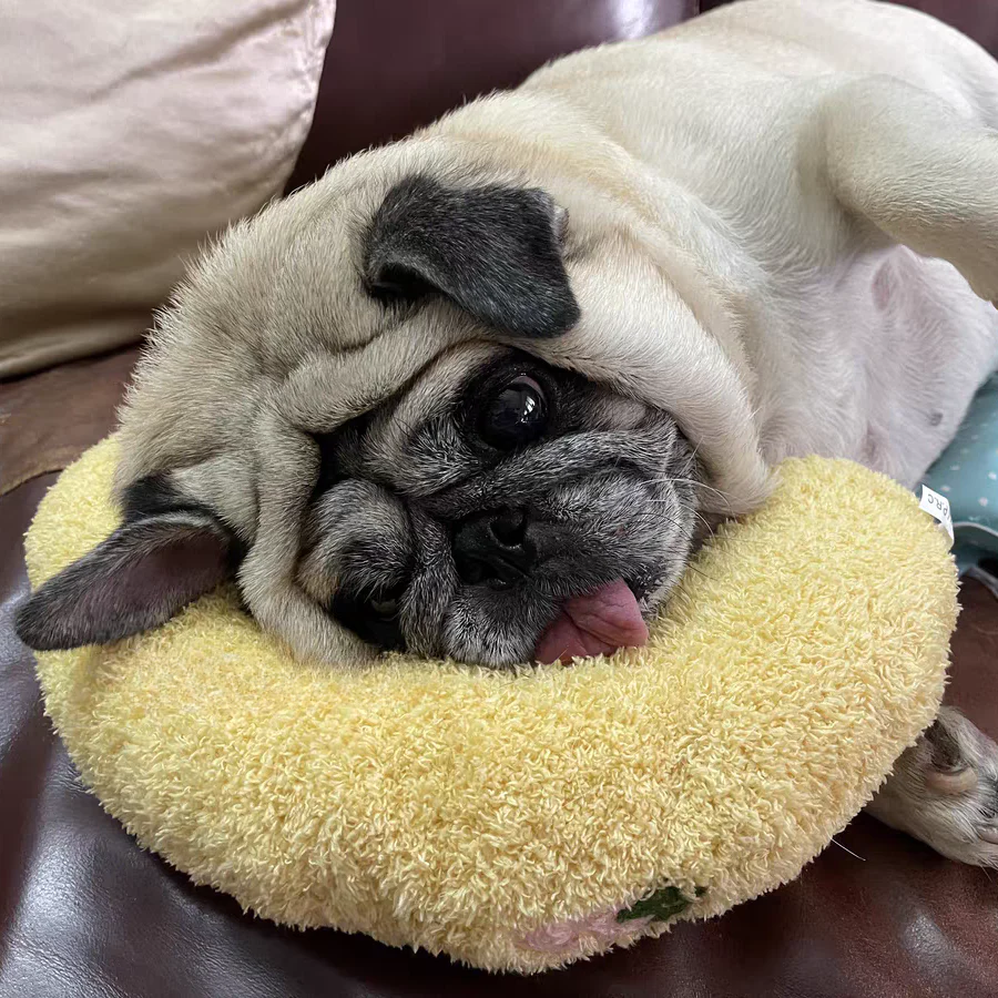 Dog Pillow | Plush Calming Neck Res