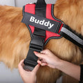 Dog Harness | Personalized No Pull Reflective Vest